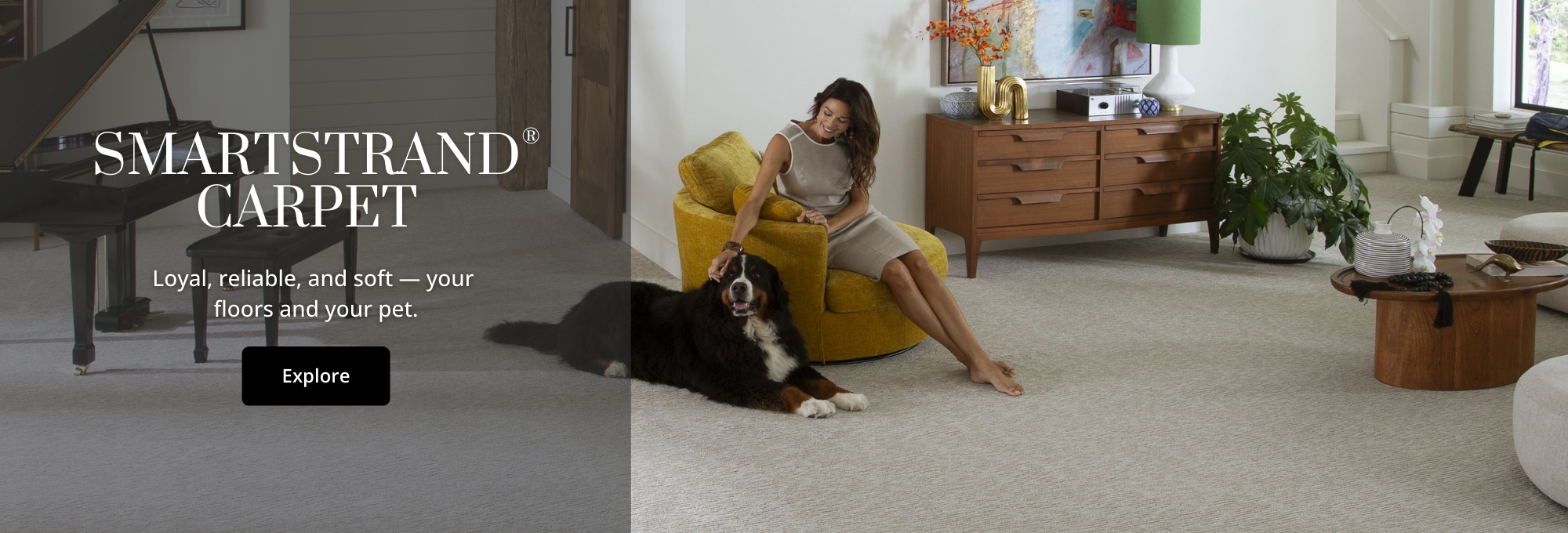 Browse Karastan SmartStrand products